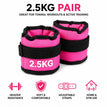 2.5KG Pair