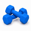 Blue 8kg Pair