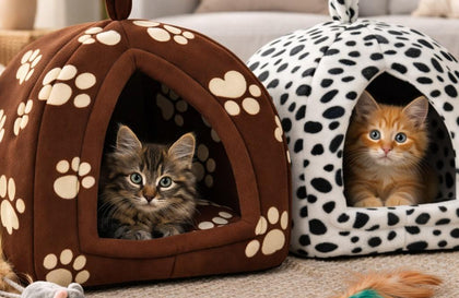 Pet Beds & Cushions