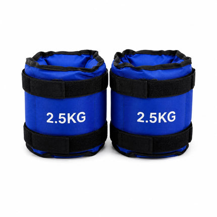 Blue Adjustable Ankle & Wrist Weights – Pair (0.5kg–3kg)