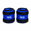 1KG Pair