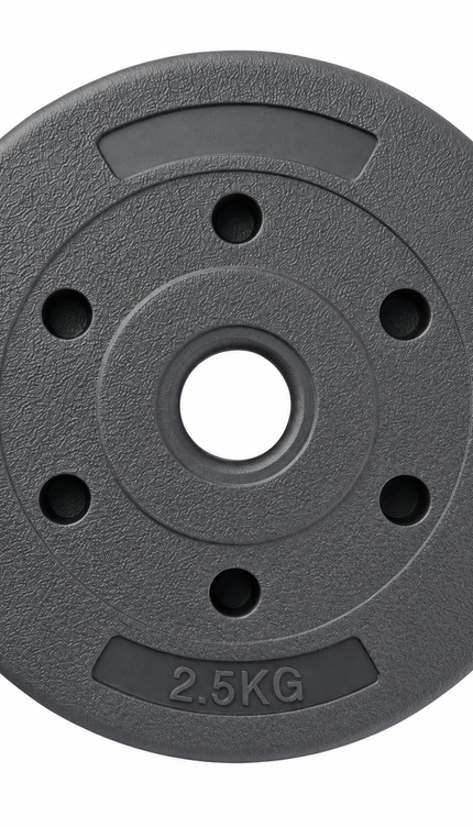 2.5kg Single Weight Plate for Dumbbell & Barbell