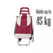 Bag Colour: Pink