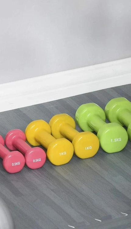 6KG Dumbbell Set with Carry Case – Home Workout Weights