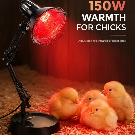 150W Infrared Heat Lamp Chick Brooder Light Poultry Chicken Duckling Heater